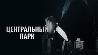 Центральный парк (2017)