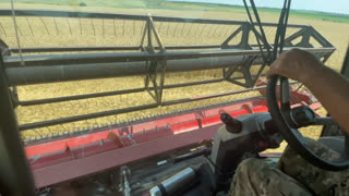 КОМБАЙН В ПОЛЕ. СОБИРАЕМ ПШЕНИЦУ