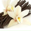 Фотография Стефанович Марины