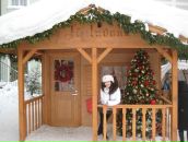 Фотография Жук Натальи