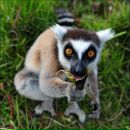 Фотография Корякиной Элины