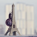 Фотография Шнайдер Евгений