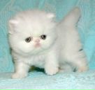 Фотография Барболиной Оксаны