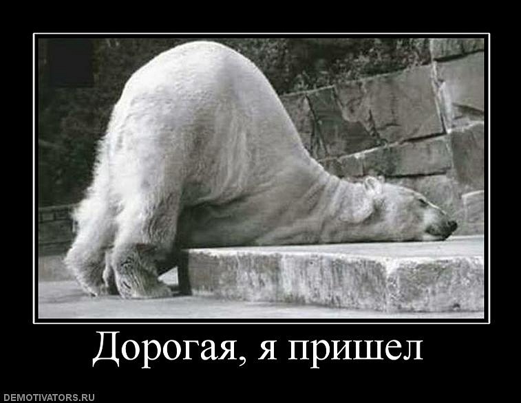M@c@R Черненко фотография #25