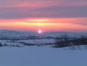 Фотография Коваля Александра