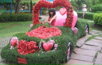 Фотография Kokoreva Angelika