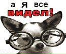 Вітя Талащук фотография #46 (источник - https://vk.com/id139575544)