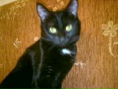 Фотография Грехова Максима