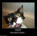 Ванек Иванов фотография #2 (источник - https://vk.com/id110148599)