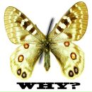 Фотография Юрлова Алексея