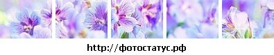 Фотография Марина Красикова