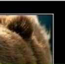 Віталій Цись фотография #50 (источник - https://vk.com/id27142199)