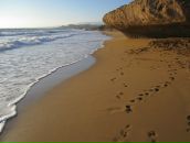 Фотография Медведевой Александры