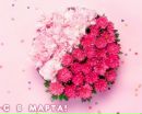 Фотография Новиковой Елены