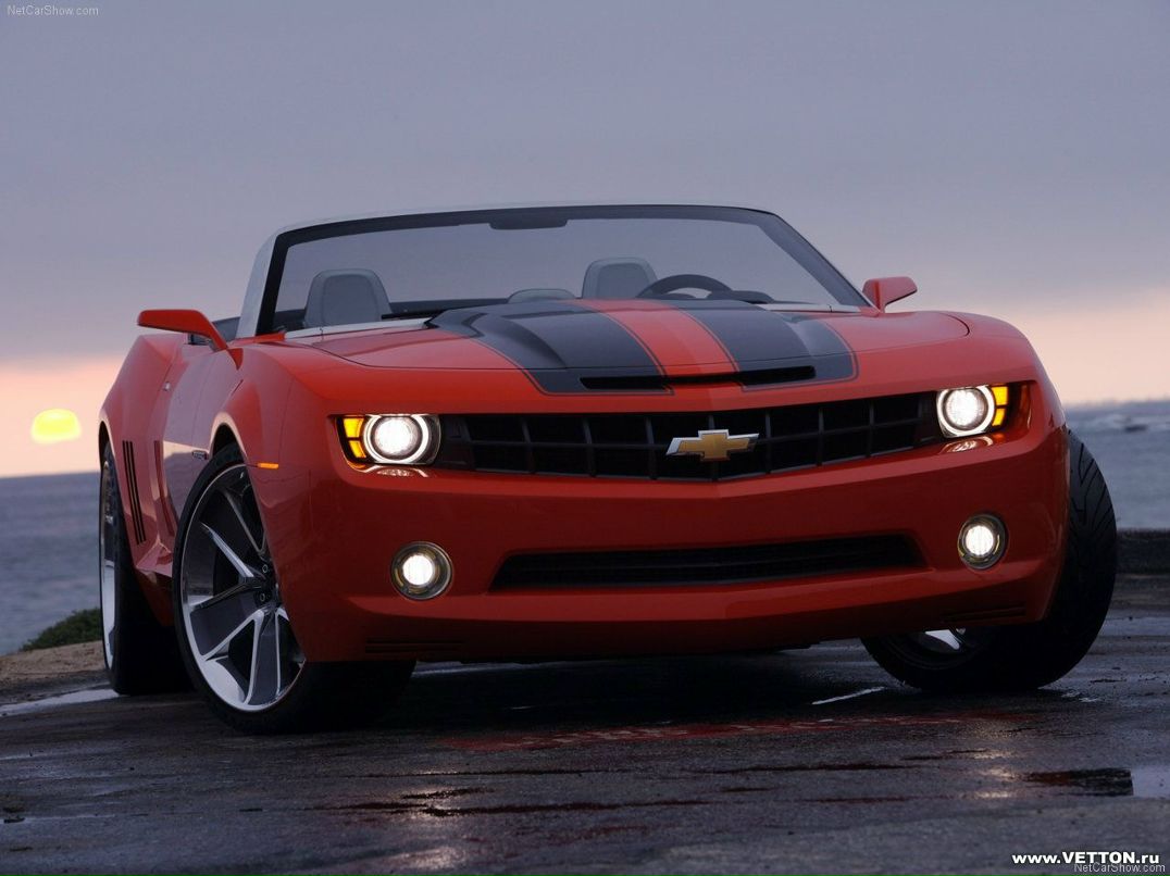 Дима Эвлаш фотография #14