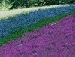 Аня Діміч фотография #27 (источник - https://vk.com/id134268992)