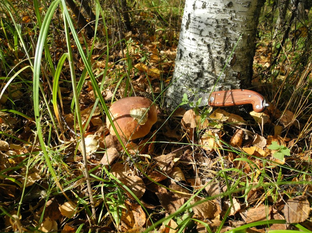 Илья Маслов фотография #33