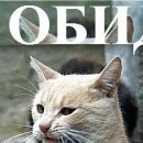 Віталій Каракай фотография #10 (источник - https://vk.com/id113544067)