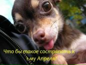 Саша Охремов фотография #35 (источник - https://vk.com/id158778267)