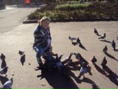 Вікусічка Січкоріз фотография #29 (источник - https://vk.com/id82463977)