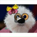 Віталій Грищенко фотография #5 (источник - https://vk.com/id150596084)