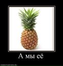 Олег Песцов фотография #34 (источник - https://vk.com/id22789648)