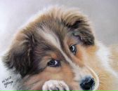 Фотография Лайт Катерины