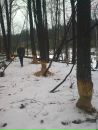 Михайло Іванюк фотография #19 (источник - https://vk.com/id163147275)