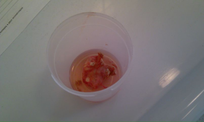 Павел Марченко фотография #3