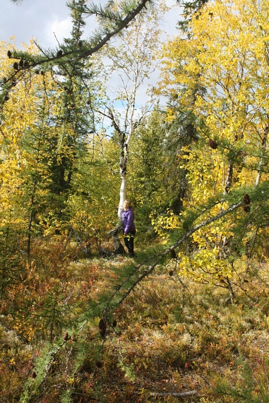 Сергей Маслов фотография #19