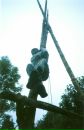 Ігор Осідач фотография #30 (источник - https://vk.com/id17389686)