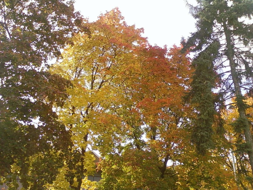 Андрей Катков фотография #36