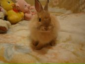 Фотография Филиной Наташи