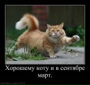 Александр Мироваев фотография #38 (источник - https://vk.com/id5638723)