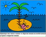 Pingvin Art фотография #33 (источник - https://vk.com/id599130)