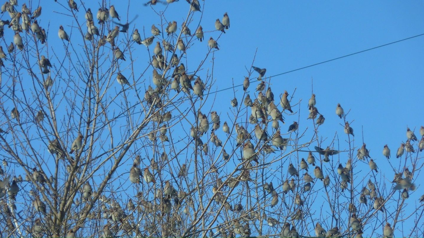 Евгений Казаков фотография #6