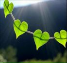 Світлана Кондович фотография #14 (источник - https://vk.com/id5361183)