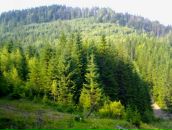 Анічка Долина фотография #3 (источник - https://vk.com/id64976514)