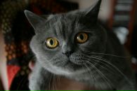 Фотография Жукова Сергея