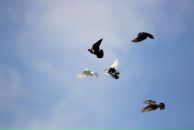 Фотография Шатаевой Анны