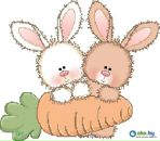 Фотография Савкин Владимир