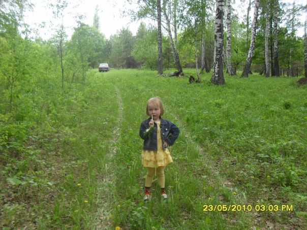 Сергей Сергеев фото №6