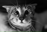 Фотография Морозовой Анастасии