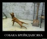 Андрій Гульчук фотография #27 (источник - https://vk.com/id21827585)