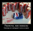 Миша Мифка фотография #21 (источник - https://vk.com/id289308)