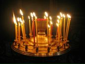 Фотография Каширская Ольга