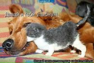 Ольга Селиванова фотография #25 (источник - https://vk.com/id878078)