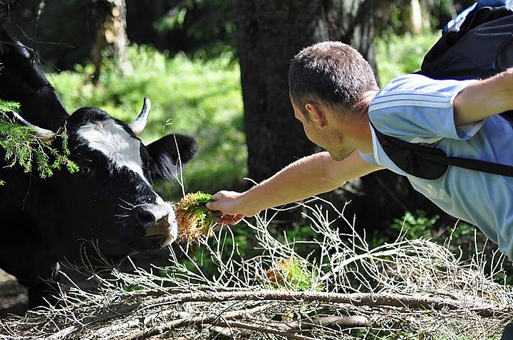 Sergey Vosmirko фотография #20