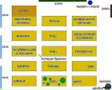 Александра Деева фотография #27 (источник - https://vk.com/id1844846)