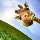 Фотография Дунаевой Любови